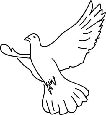 Dove Soaring with Wings Expanded
