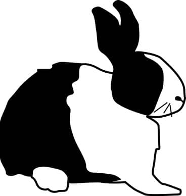 Black and White Rabbit