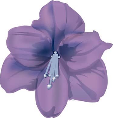 Purple Hibiscus Corsage