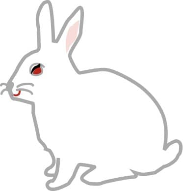 White Bunny with a Red Eye
