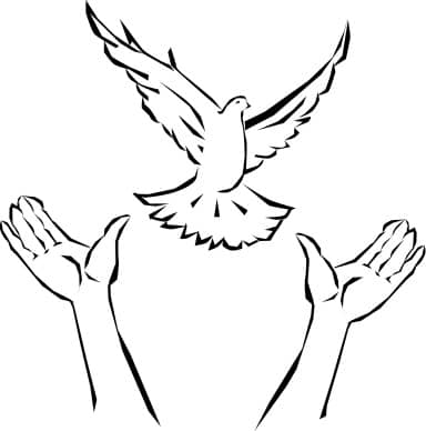 Hands Releasing Dove