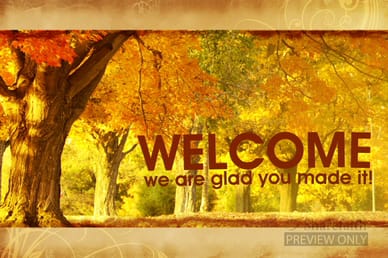 Autumn Trees Welcome Video Loop