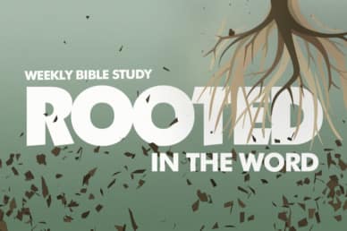 Bible Study Video
