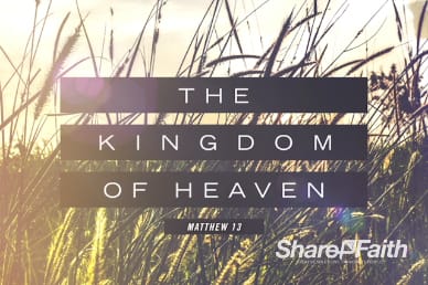 Kingdom of Heaven Wheat Sermon Title Video Loop