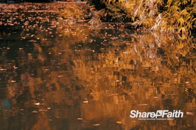 Autumn Pond Reflection Nature Worship Background Video