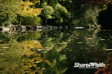 Autumn Water Reflection Nature Video Background