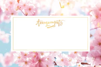 Mother's Day Cherry Blossom Announcements Motion Graphic
