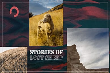 Stories of Lost Sheep Mini Movie