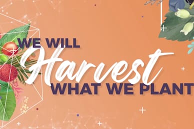 Produce: We Will Harvest What We Plant