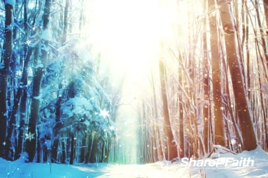 Light of the World Christmas Background Video