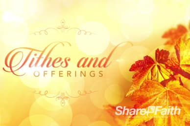 Thanksgiving Celebrate God's Goodness Church Service Video Loop