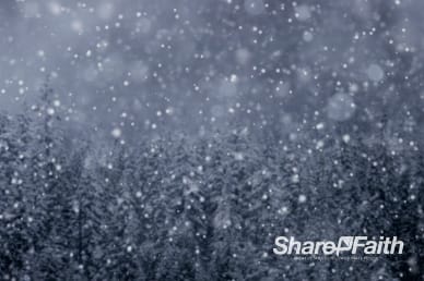 Winter Forest Snow Scene Worship Background Video