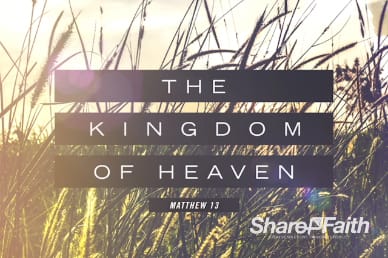 Kingdom of Heaven Wheat Sermon Intro Video Loop