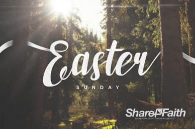 Easter Sunday Forest Sermon Title Video Loop