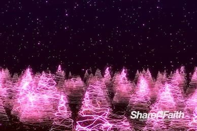 Christmas Tree Forest Worship Video