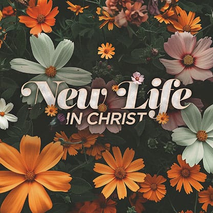 New Life in Christ: Social Media Graphics