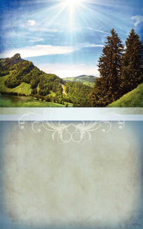 Landscape Bulletin Cover