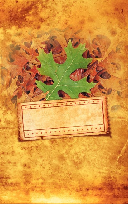Fall Leaf Pile Bulletin Cover