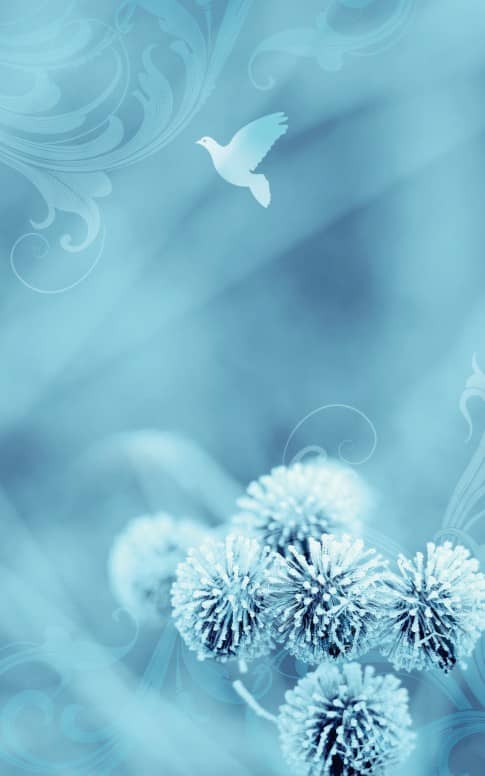Winter Snow Church Bulletin Cover