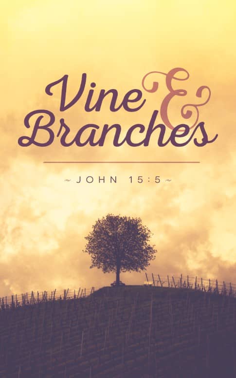 Vine and Branches Religious Bulletin