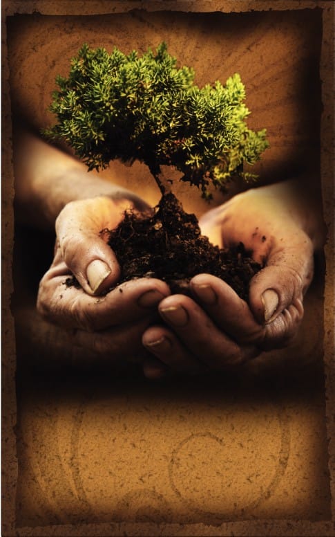 New Life Church Bulletin Cover