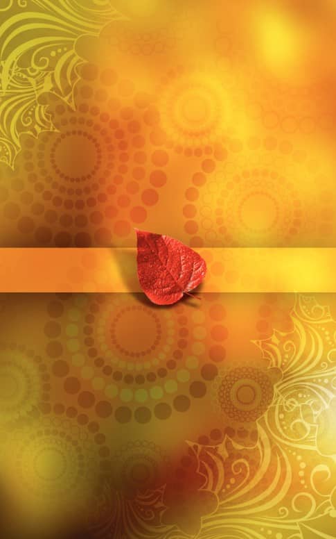 Thanksgiving Song Program Cover