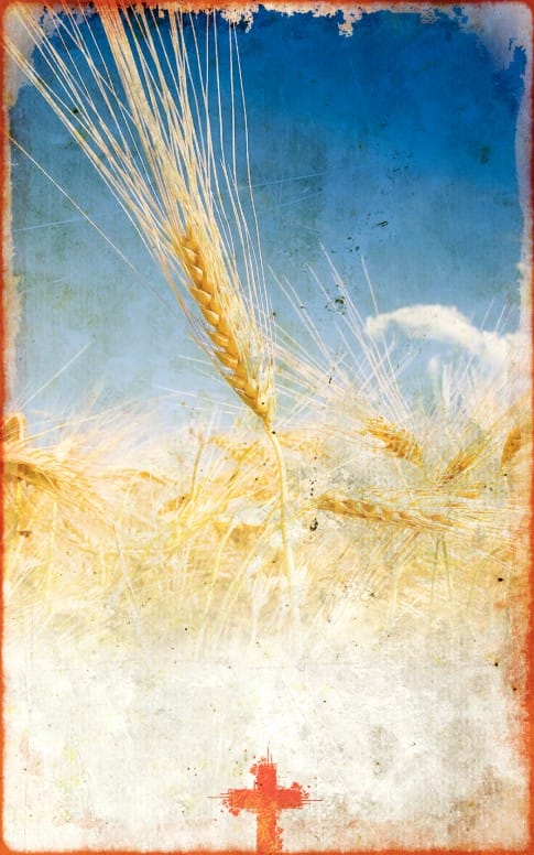 Thanksgiving Harvest Bulletin Cover