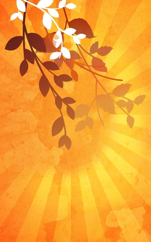 Church Harvest Bulletin Design
