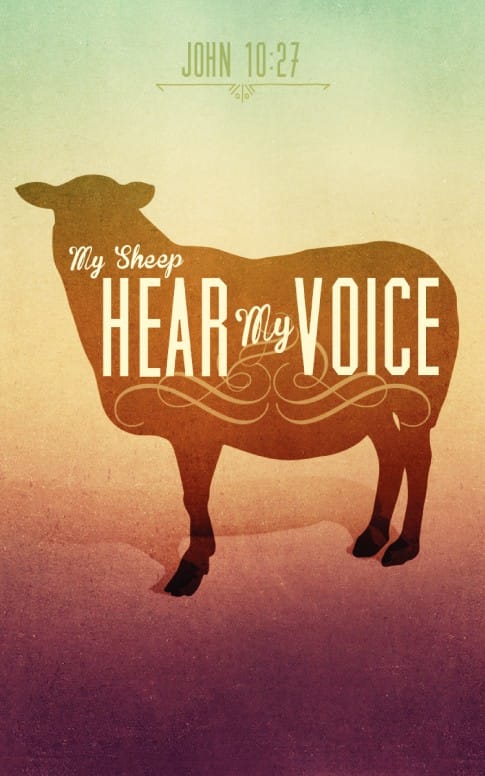 My Sheep Hear My Voice Ministry Bulletin