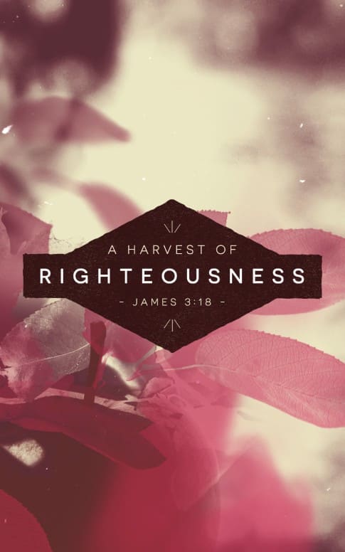The Harvest of Righteousness Religious Bulletin