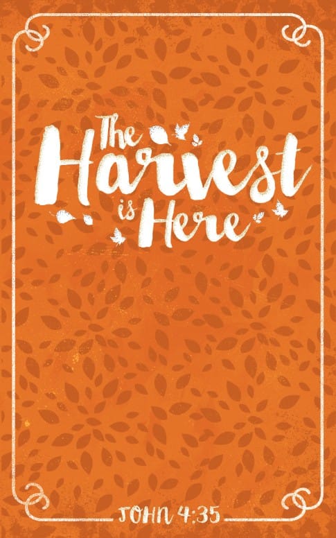 The Harvest is Here Christian Bulletin