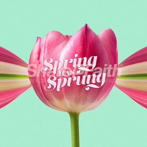 Spring Has Sprung Social Media Graphic