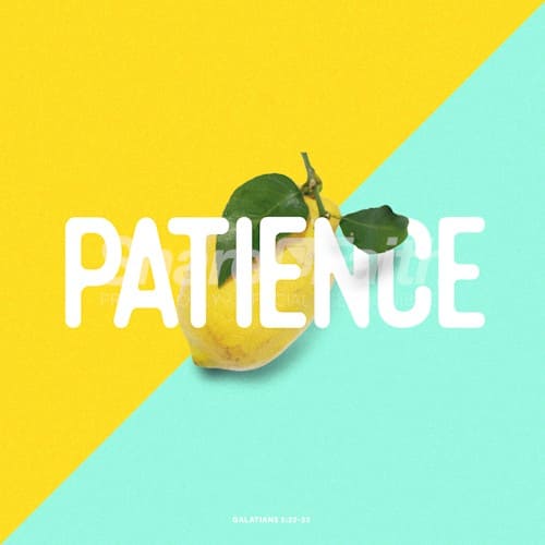 The Fruit of Patience Social Media Graphic