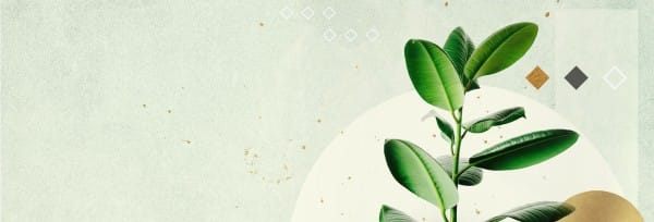 Let's Grow Together Church Website Banner