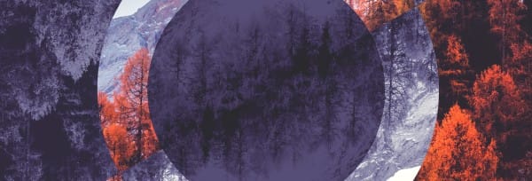 Fall Back Purple Church Website Banner