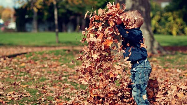 Child Jumping in Leaves Christian Stock Photo