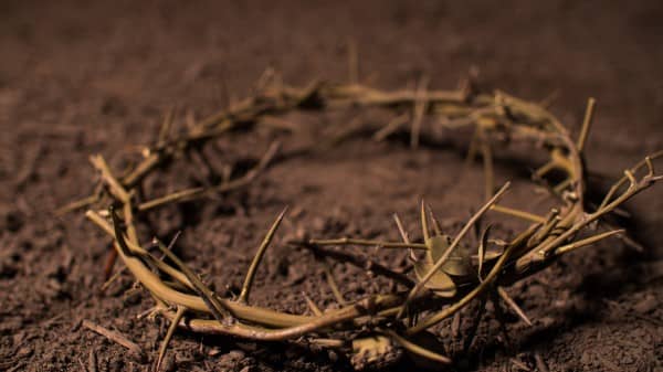 Crown of Thorns Easter Stock Photo