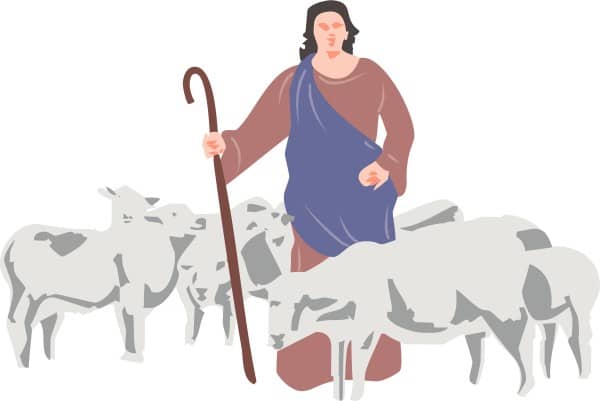 A Shepherd And His Sheep