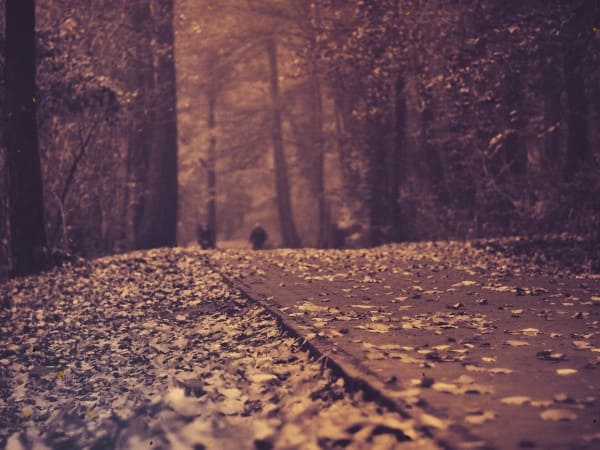 Sepia Tone Autumn Road Christian Vintage Background