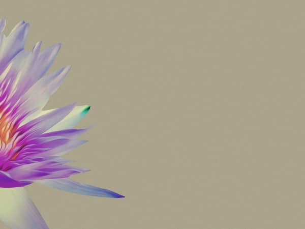 Generosity Lily Flower Christian Worship Background