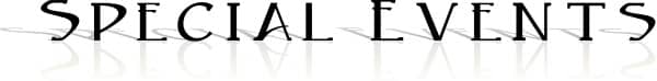 Formal Special Events with reflection
