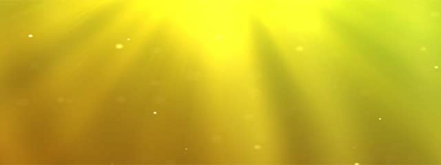 Golden Triple Wide Video