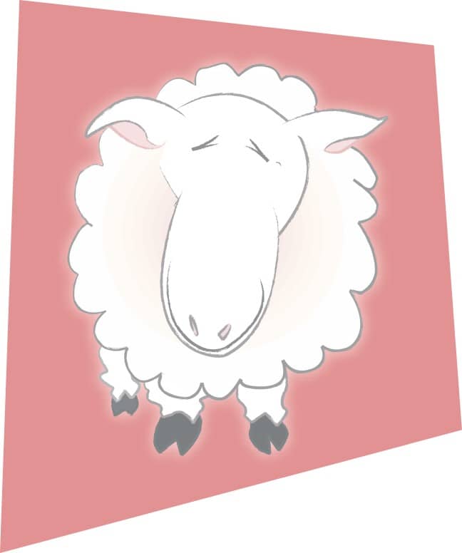 A Happy Sheep