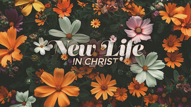 New Life In Christ: Title Graphics