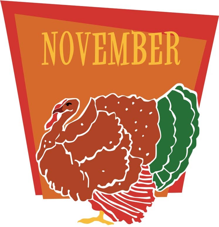 Fat Turkey in November