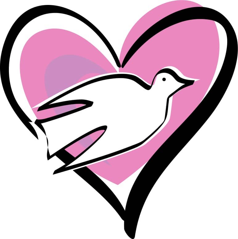 White Dove Pink Heart