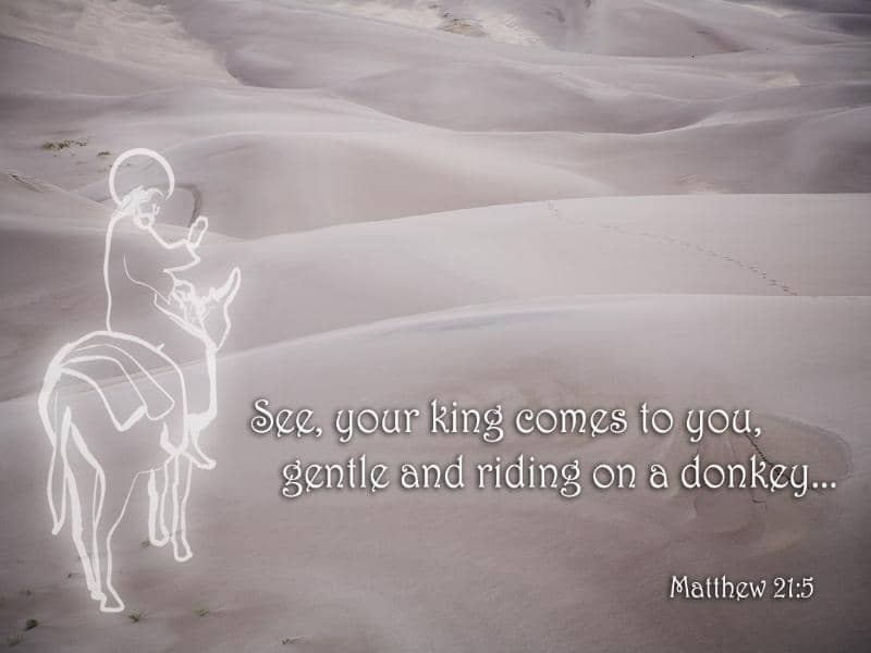 Jesus on a Donkey with Matthew Verse