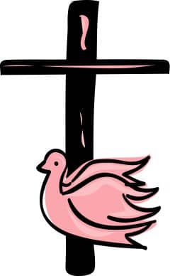 Black Cross and Pink Dove
