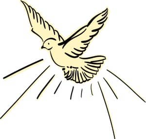 flying dove outline