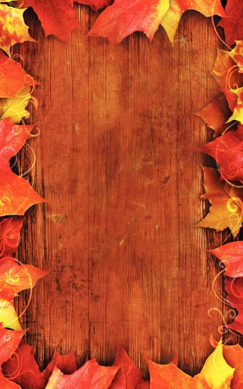 Thanksgiving Story Program Cover